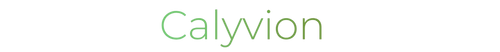 calyvion.com